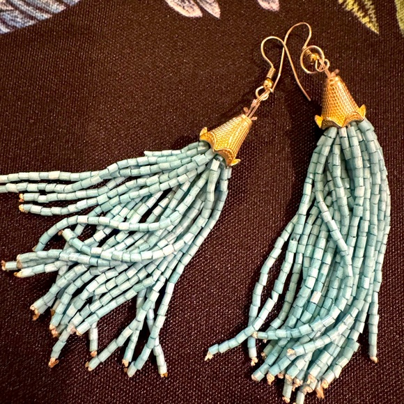 Seed Bead Fringe Earrings - Picture 1 of 4